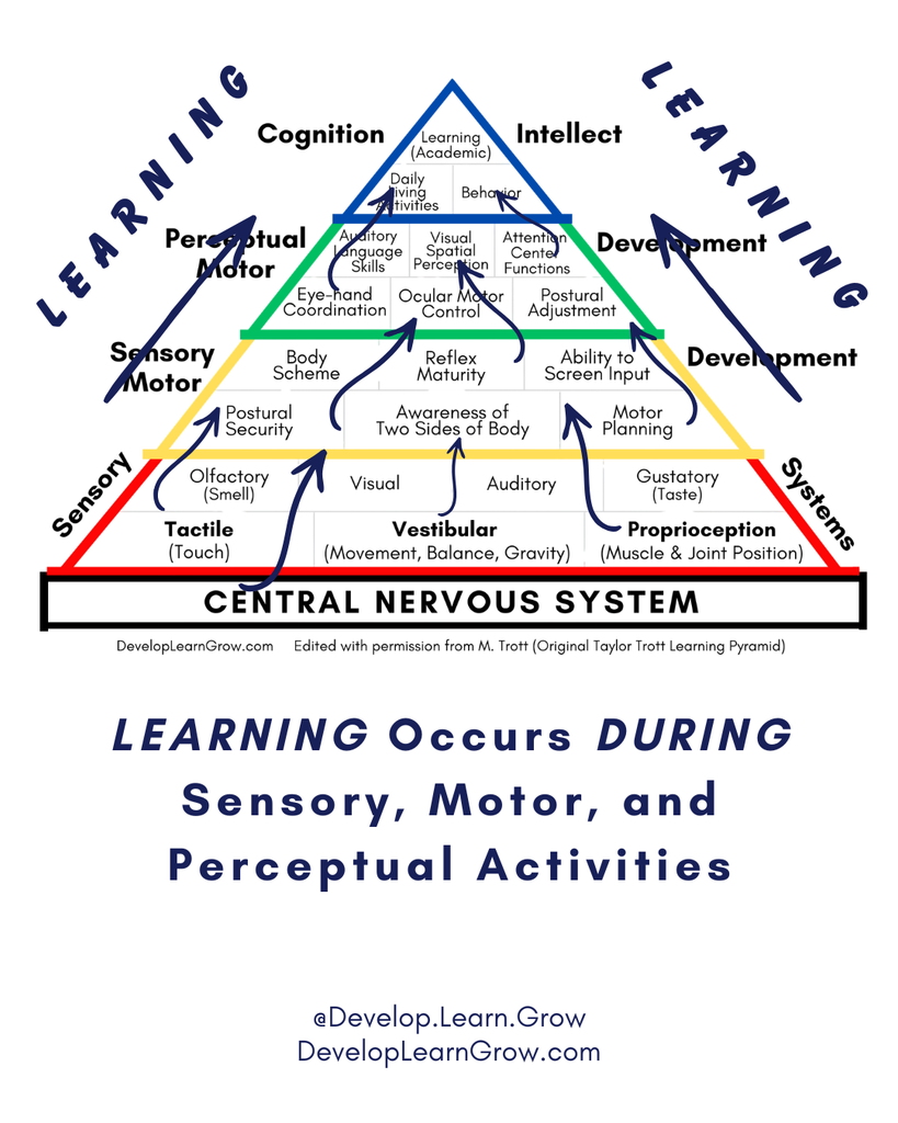 Taylor Trott Pyramid of Learning