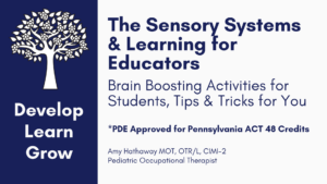Professional Development for Preschool and Elementary Teachers, Tier 1 Strategies from a School Based Occupational Therapist